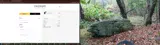 hunter coupon verification screenshot
