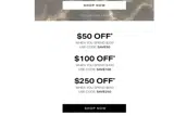SAVE100 coupon verification screenshot