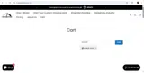 SAVE20 coupon verification screenshot