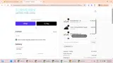 Turmerry coupon verification screenshot