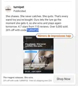 Turnipet coupon verification screenshot