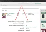 Tyndale coupon verification screenshot