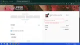 SAVE20 coupon verification screenshot