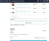 boxing10 coupon verification screenshot