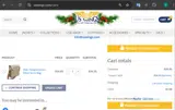 AIJ24 coupon verification screenshot