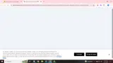 FLASH coupon verification screenshot