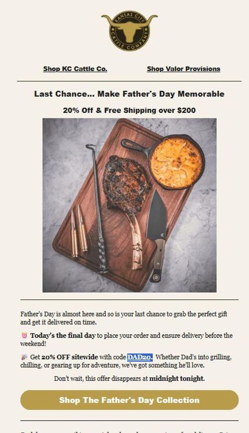 Valor Provisions promo code screenshot showing code DAD20 applied at Valor Provisions checkout page. Uploaded by SimplyCodes community member stygian1 on Jun 10, 2025