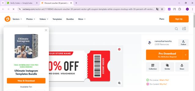 Vecteezy checkout page showing Vecteezy promo code box | Screenshot taken by SimplyCodes community member on Jan 19, 2025