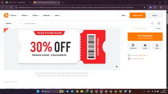 Vecteezy checkout page showing Vecteezy promo code box | Screenshot taken by SimplyCodes community member on Aug 9, 2025