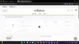 LADYDAIL coupon verification screenshot