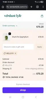 Hello10 coupon verification screenshot