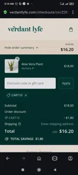 Cart10 coupon verification screenshot