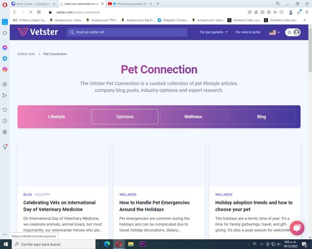 Vetster checkout page showing Vetster coupon code box | Screenshot taken by SimplyCodes community member on Dec 19, 2022
