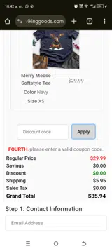 Viking Goods Company coupon verification screenshot