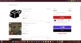 Viking Goods Company coupon verification screenshot