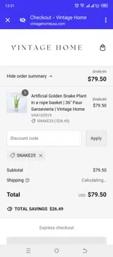 SNAKE25 coupon verification screenshot