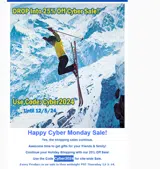 Vintage Ski World coupon verification screenshot