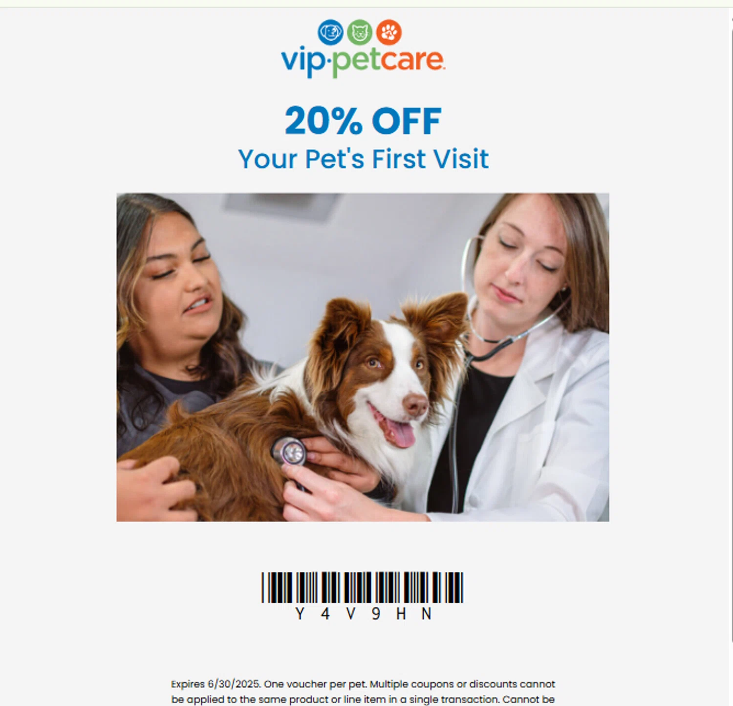 Vet Visit Pet Doctor 1st The Vet Clinic Puppy First Vet Visit - Main Image