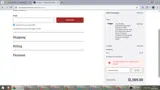 Vizard's Guns and Ammo coupon verification screenshot