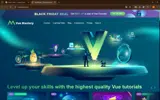 Vue Mastery coupon verification screenshot