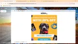 Wacky Walk'r coupon verification screenshot