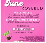 Walker Rose Boutique coupon verification screenshot