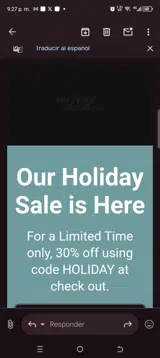 Holiday coupon verification screenshot