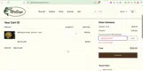 WalleyeStrips2026 coupon verification screenshot