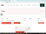 Immersive10% coupon verification screenshot