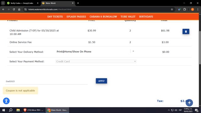 Water World checkout page showing Water World promo code box | Screenshot taken by SimplyCodes community member on May 30, 2025