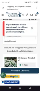 WGSAVE20 coupon verification screenshot