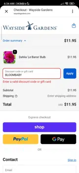 BLOOMBABY coupon verification screenshot