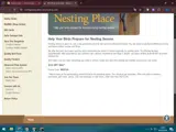 NEST10 coupon verification screenshot