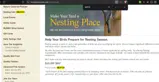 NEST10 coupon verification screenshot
