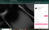 ALAN coupon verification screenshot