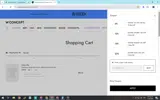 W Concept coupon verification screenshot