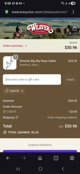 Lisa10 coupon verification screenshot