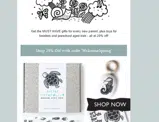 WelcomeSpring coupon verification screenshot