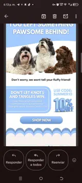 Summer10 coupon verification screenshot