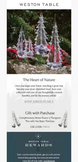 Weston Table coupon verification screenshot