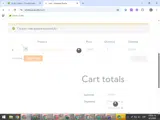 solkiwan coupon verification screenshot