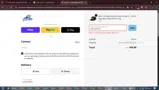 West Michigan Whitecaps coupon verification screenshot