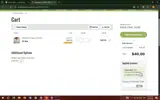 SABRINA20 coupon verification screenshot