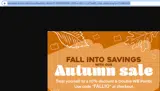 fall10 coupon verification screenshot