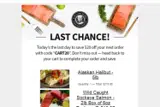 Wild Alaska Salmon & Seafood coupon verification screenshot