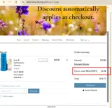 WELCOME10 coupon verification screenshot