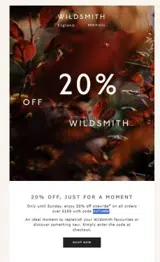AUTUMN coupon verification screenshot