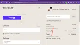 THESUNKISSEDFOLK coupon verification screenshot