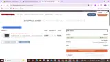 10SURE coupon verification screenshot