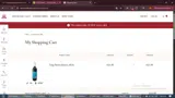 BFCM10 coupon verification screenshot